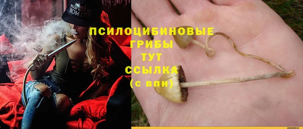 винт Бронницы