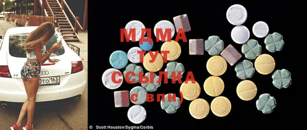 ГАЛЛЮЦИНОГЕННЫЕ ГРИБЫ Бородино