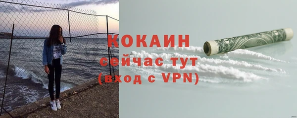ГАЛЛЮЦИНОГЕННЫЕ ГРИБЫ Бородино