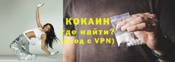 ГАЛЛЮЦИНОГЕННЫЕ ГРИБЫ Бородино