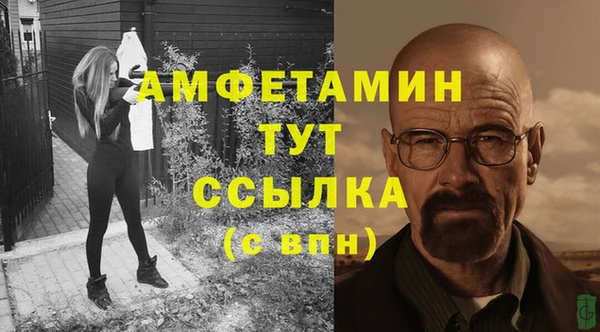ГАЛЛЮЦИНОГЕННЫЕ ГРИБЫ Бородино