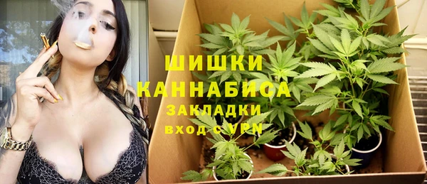 шишки Семилуки