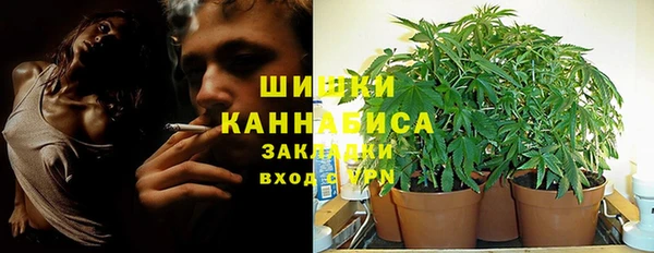 ГАЛЛЮЦИНОГЕННЫЕ ГРИБЫ Бородино